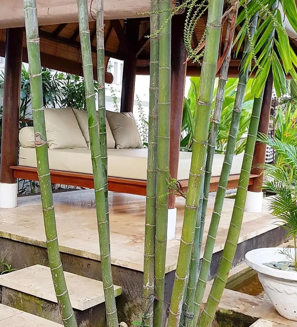 Villa Maharaj Seminyak
